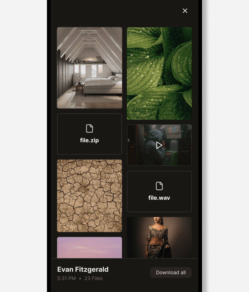 Dark file gallery showing shared images, video, and ZIP and WAV attachments from Evan Fitzgerald